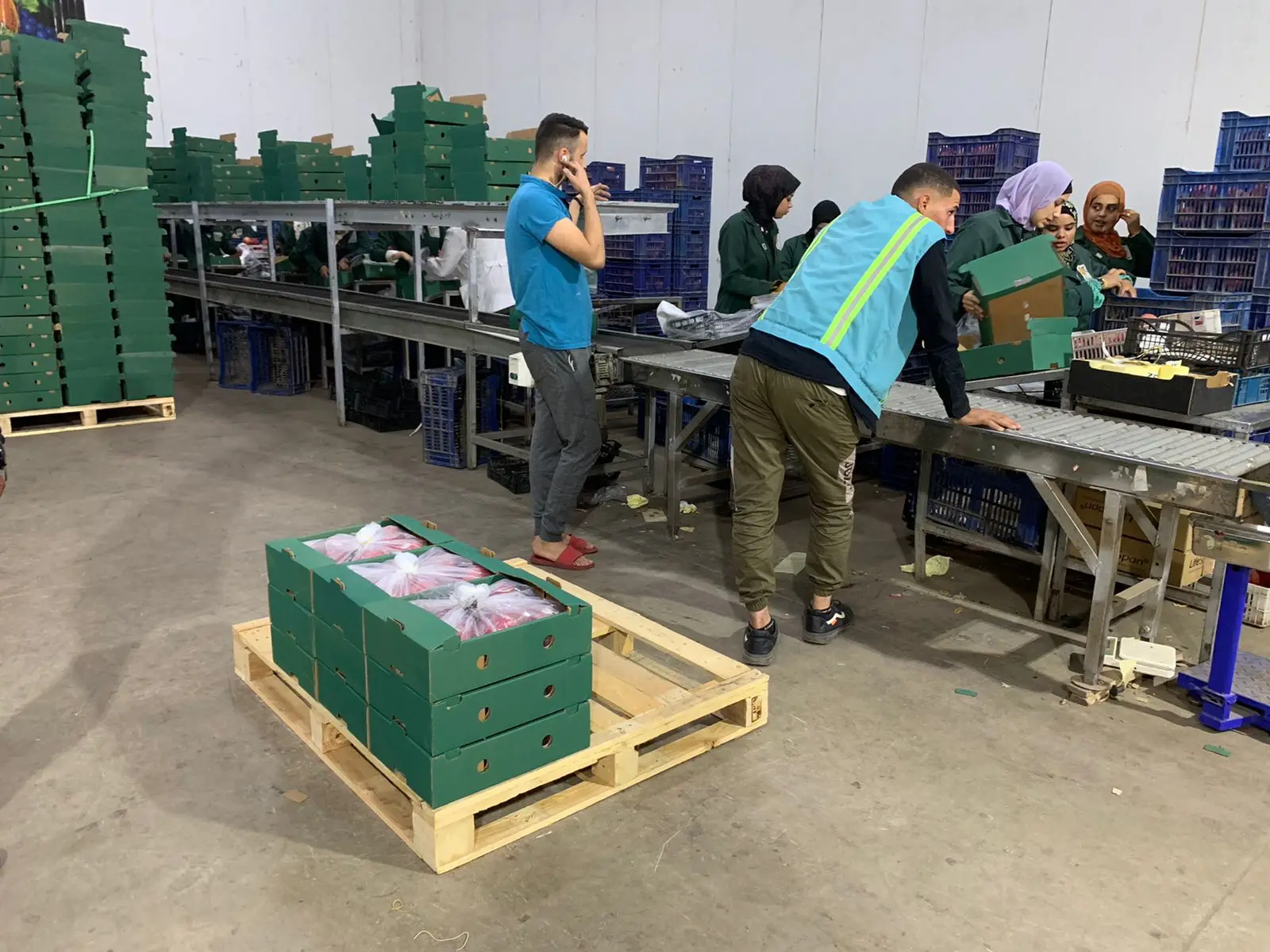 FRESH POMEGRANATE 2022 WITH LOW PRICE