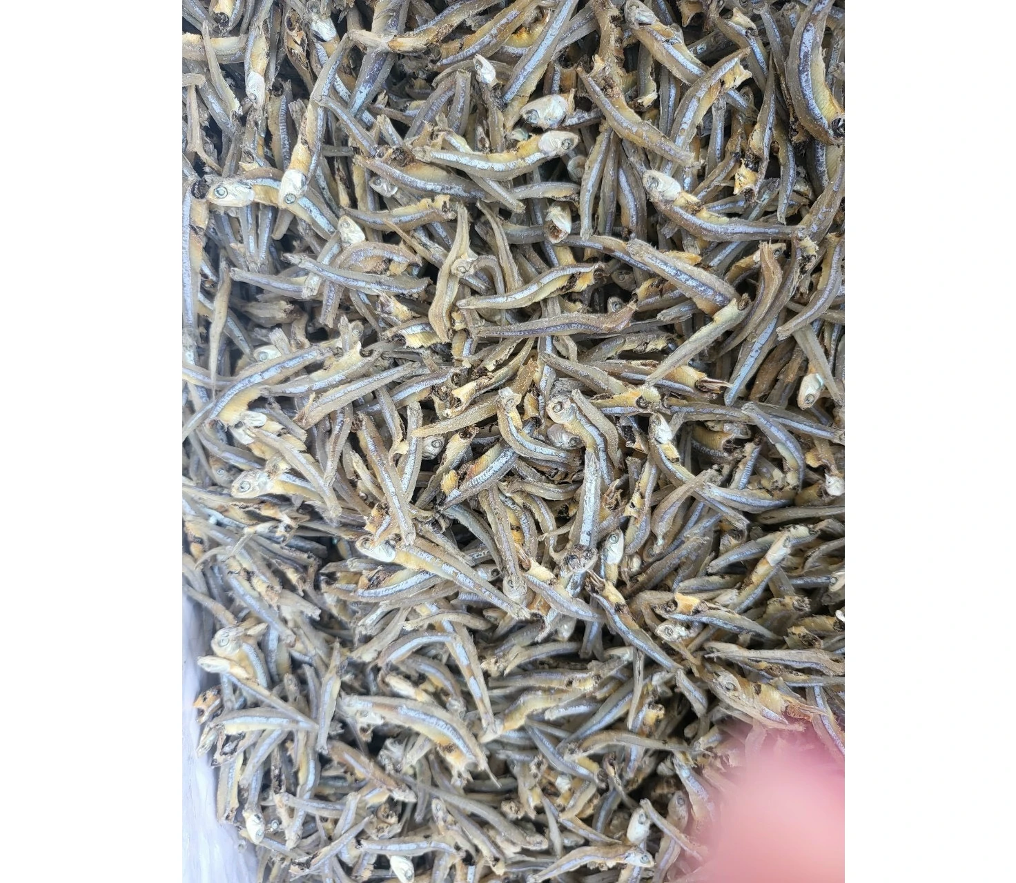 Wholesale dried anchovies dried shrimps high quality steamed anchovies 100% organic Made from Vietnam