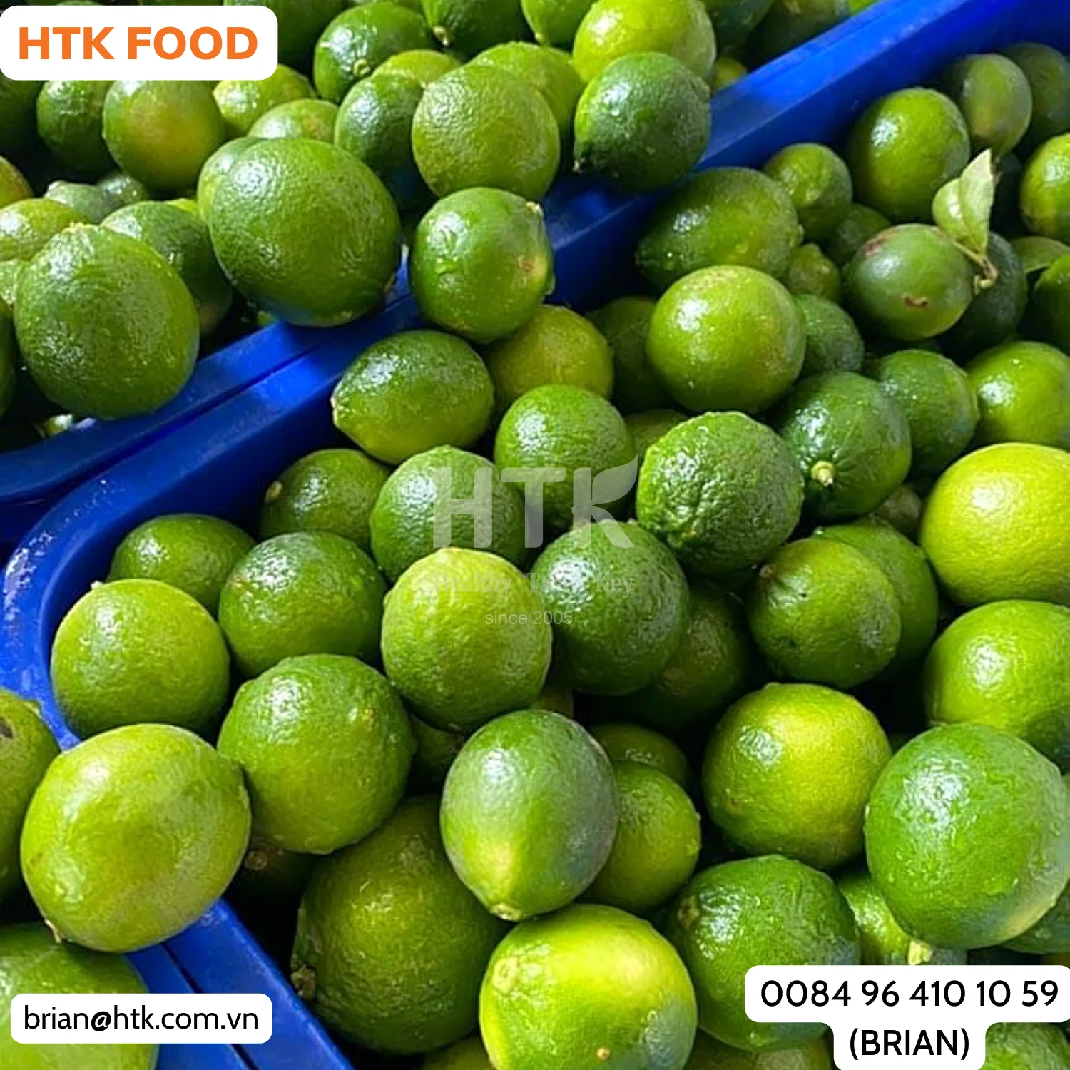 HEALTHY 2024 FROZEN IQF GREEN LIME Whole Half Cut Sliced Made In Vietnam Factory from HTK FOOD for Food & Beverage