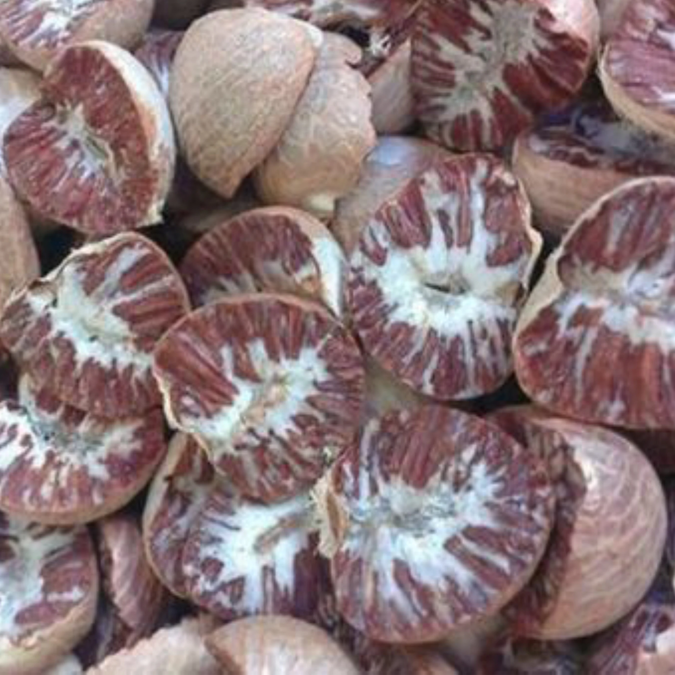 Высококачественные гайки Betel (цельные и сплит) по