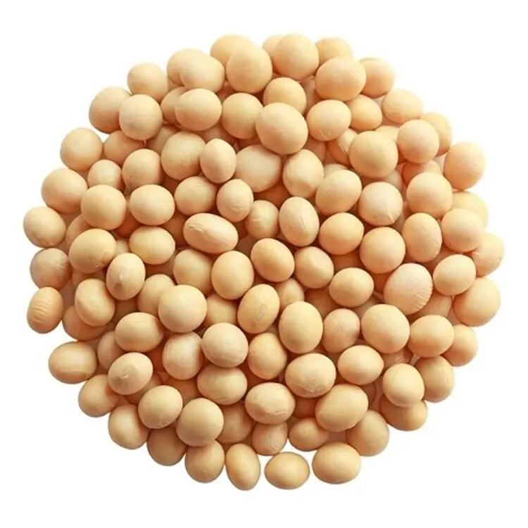 Non GMO семена соевых бобов высокого качества соевые бобы/Соевое зерно для кормов и продуктов питания