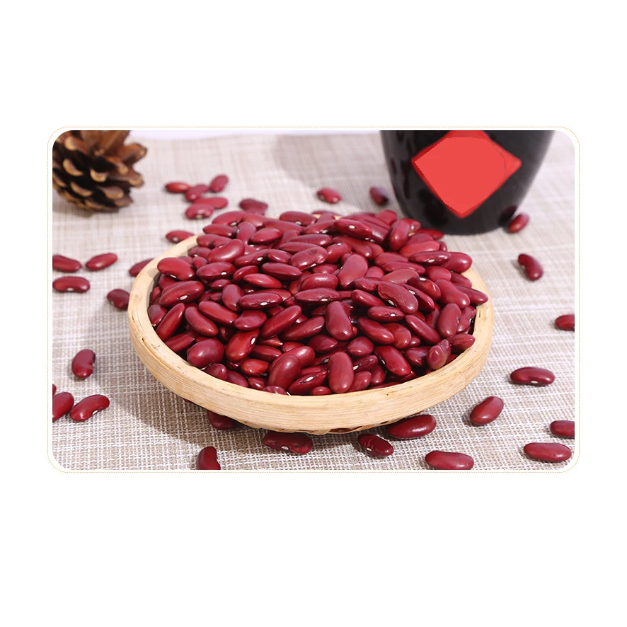 Export Red Kidney Beans Light Speckled High Quality Red Kidney Beans Cheap Price