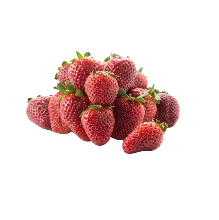 Fresh Fruit Strawberries Boxes PET Plastic Strawberry Packing Containers with Air Hole