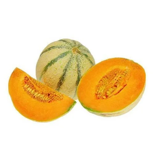Bulk Stock Available Of Fresh Fruits Melons At Wholesale Prices