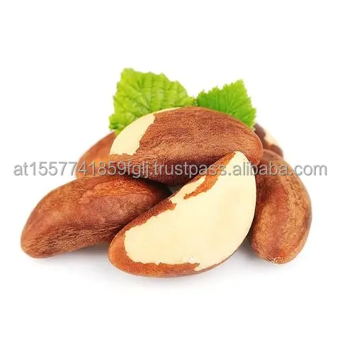 Brazil-Nuts-Natural (1).jpg