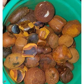 High Quality Cow Ox Gallstone  Bovine Gallstone For Pharmaceutical and Many Different Use