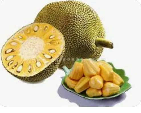 HIGH QUALITY FRESH DURIAN from VIETNAM Yellow Premium Tropical Style COLOR Cut Weight Origin Type Flesh Variety Size Grade ISO