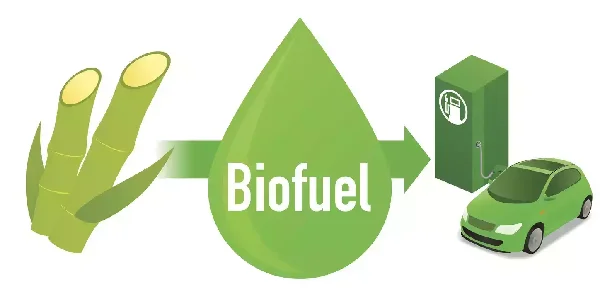 Bio fuel.png