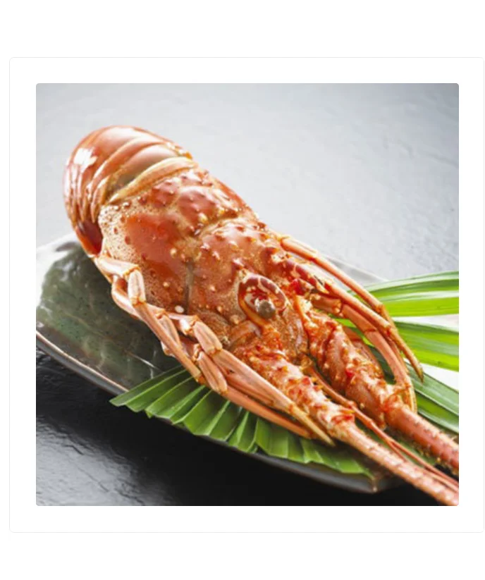 High Frozen Lobster