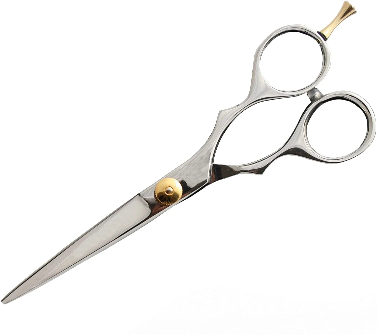 Professional Blue finger Ring Stainless Steel Barber 6 inch Hair Cutting Training Beauty School scissors