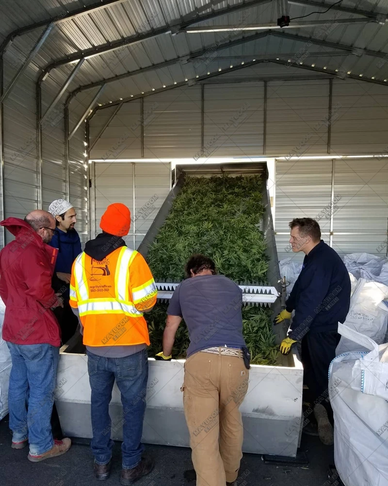 herb mesh belt dryer 