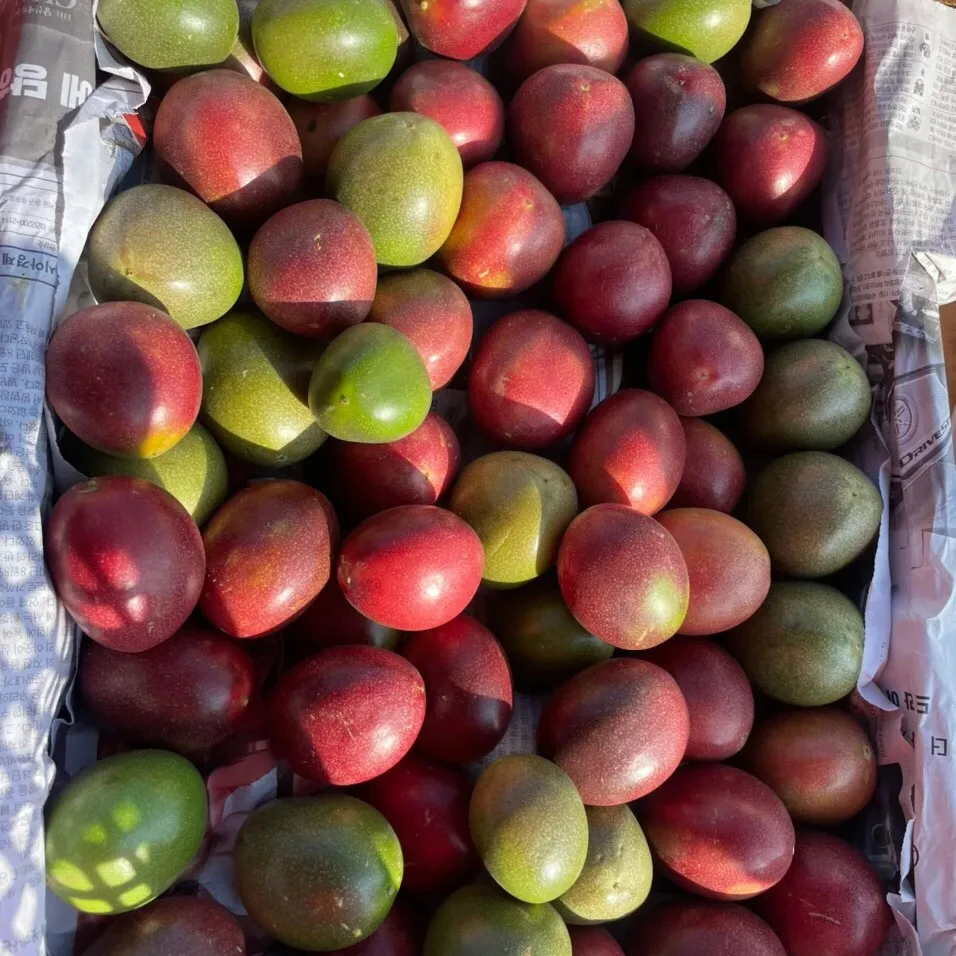 [ Hot Deal ] Providing Vietnamese passion fruit at competitive prices