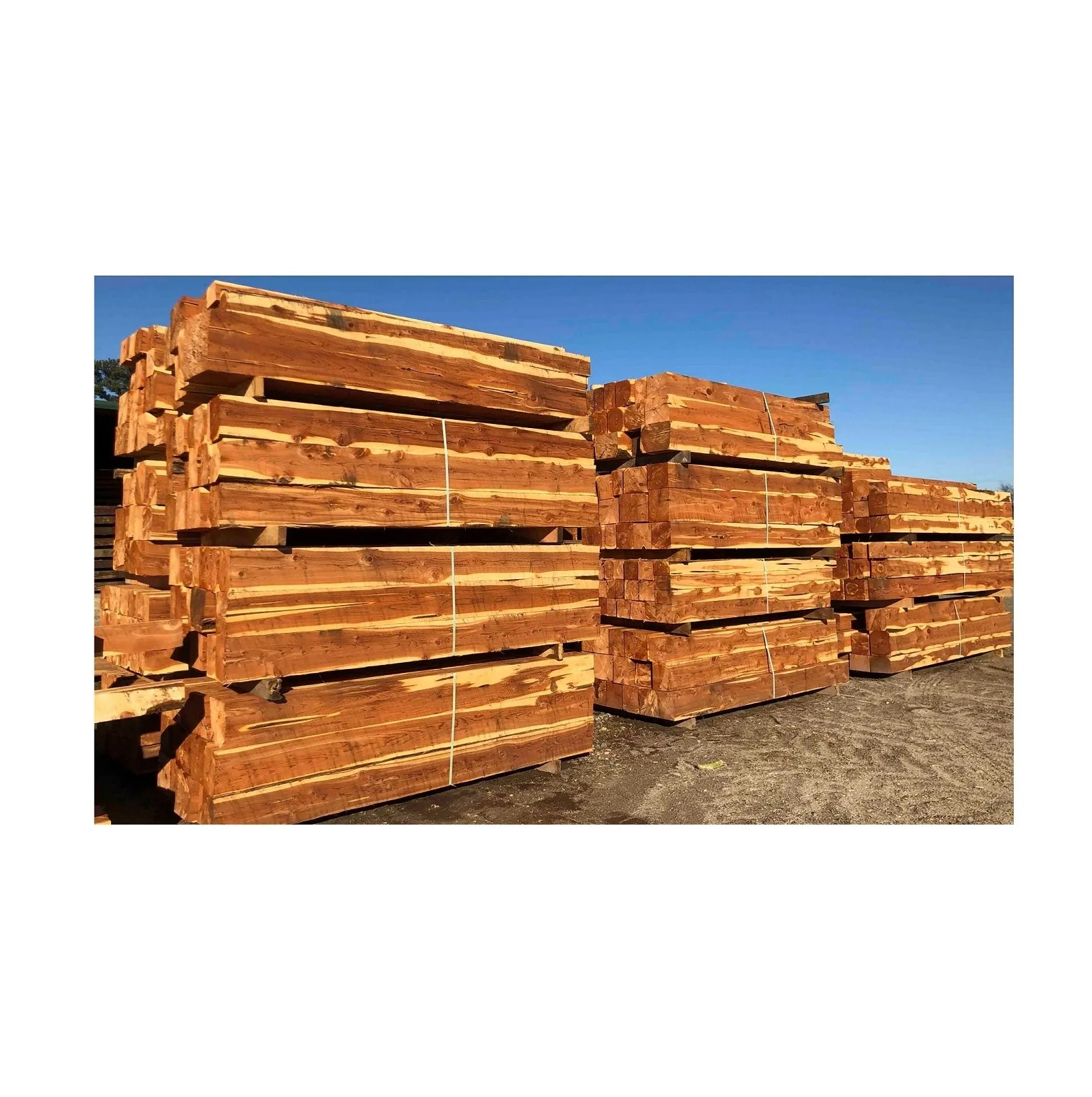 Red Cedar Wood Timbers / Lumber for Furniture Making - Top Quality, Competitive Price