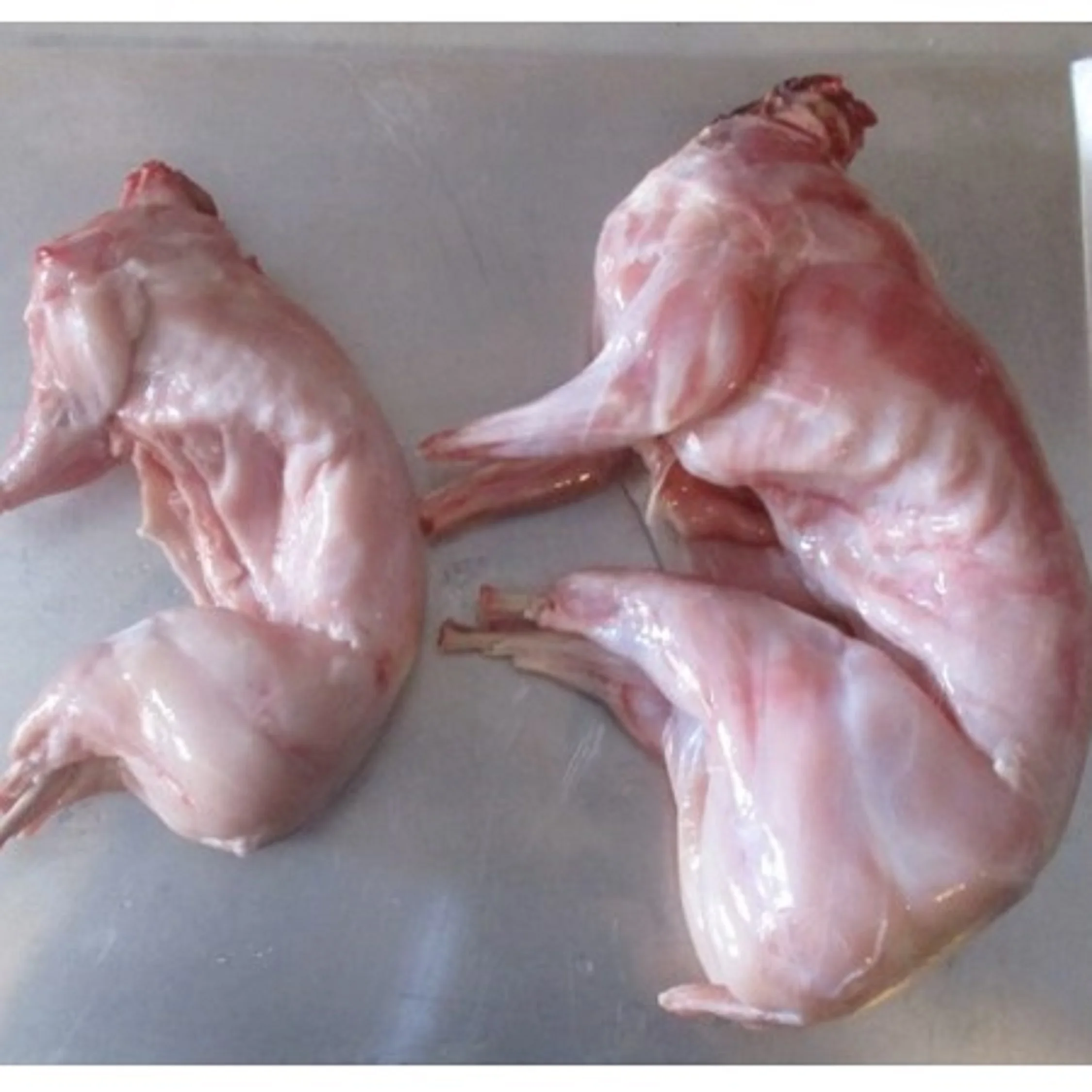 Rabbit Meat23.jpg