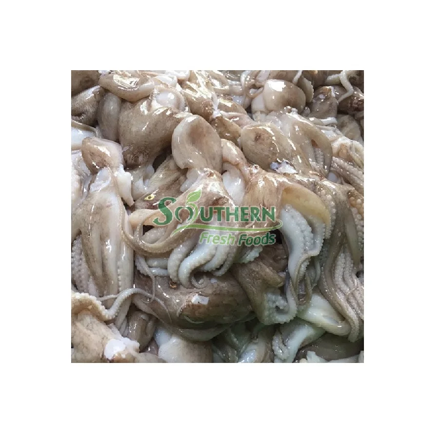 WR Wild Caught SFF Packing shelf usage style quality high products 2 years life seafood export Frozen Baby Octopus from Vietnam