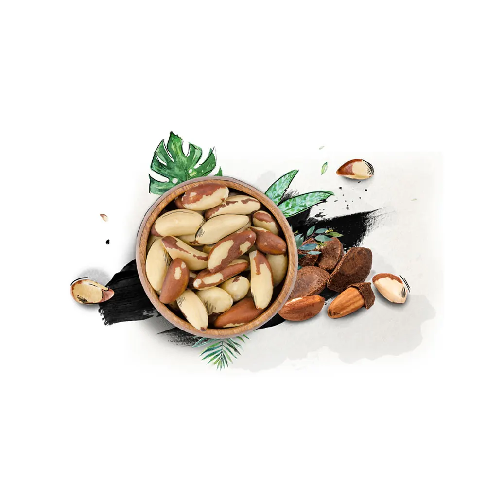 Pure Original Quality 100% Natural Wholesale Brazil Nuts For Sale Broken Brazil Nuts / Organic Brazil Nuts