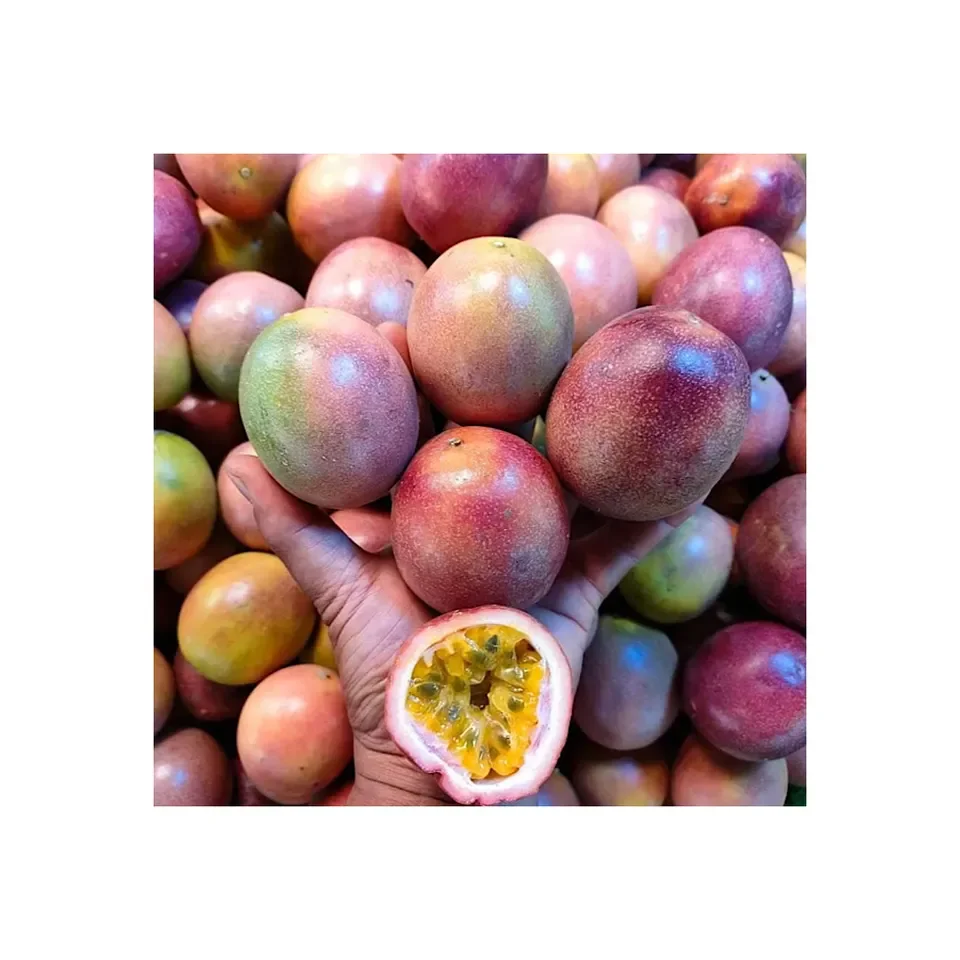 Hot Sale Best Quality Passion Fruit Available at a Very Good Price