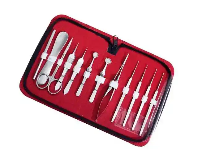 CE ISO 13485 Approved Ophthalmic Chalazion Surgery Set 12 Pcs Eye Surgery Instruments Set Ophthalmology Instruments