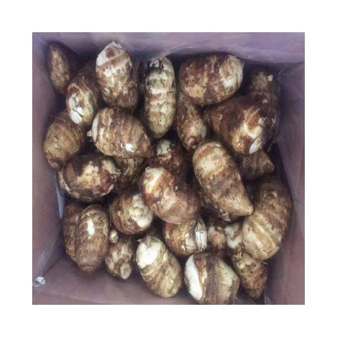 Organic New Crop Fresh Taro SA Origin