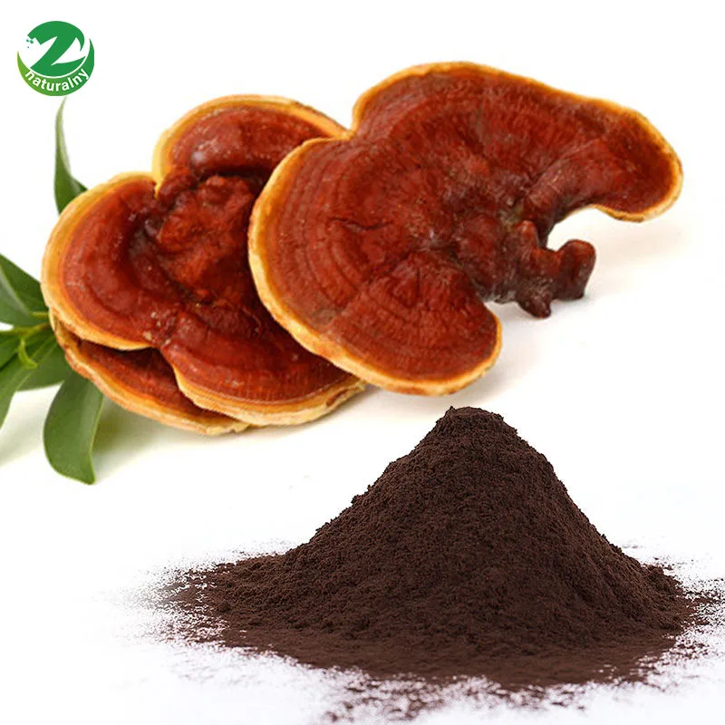 Natural Organic Lingzhi Ganoderma Lucidum Extract Powder 40% Polysaccharides, Reishi Mushroom Extract