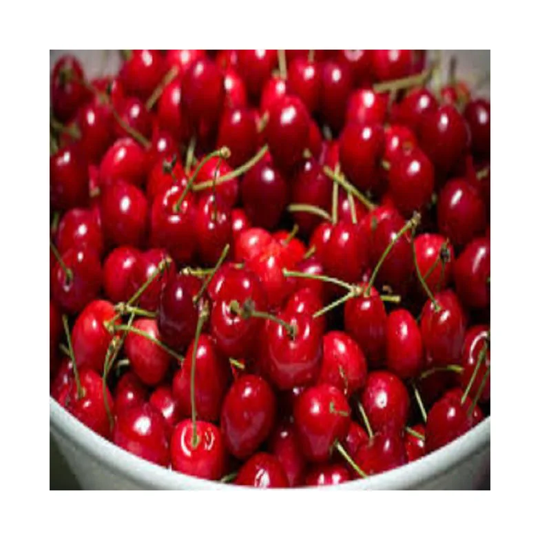 Cherries / Quality Natural Taste Red Farm Fresh Cherries / LUXURIOUS FRESH SWEET CHERRIES