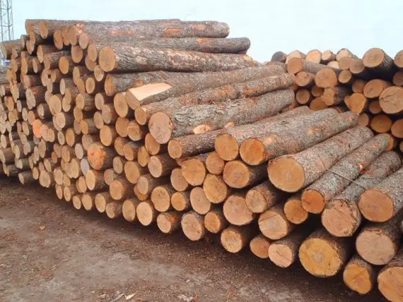 SPRUCE-WOOD-LOGS.jpg