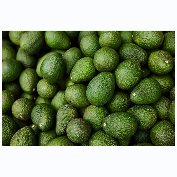 BEST ORGANIC FRESH AVOCADO FRUIT/ HASS AVOCADO ON SALE Premium Quality Fresh Avocado  Exporter AT WHOLESALE