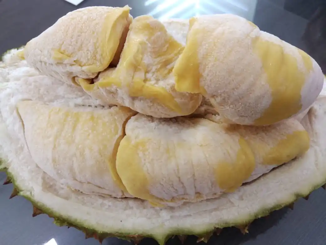 Premium Quality Musang King Durian Malaysia IQF Druit Fresh Yellow Tropical Fruit King of Fruits IQF durianSweet Bitter D197