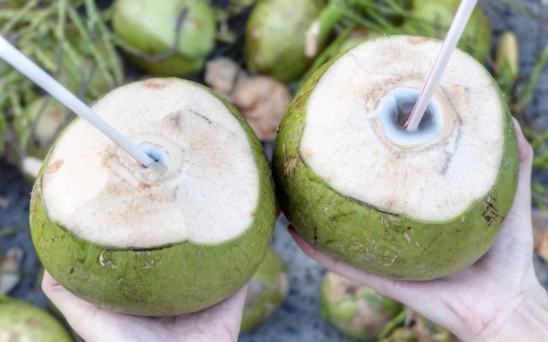 FROZEN RAW COCONUT WATER +84947900124