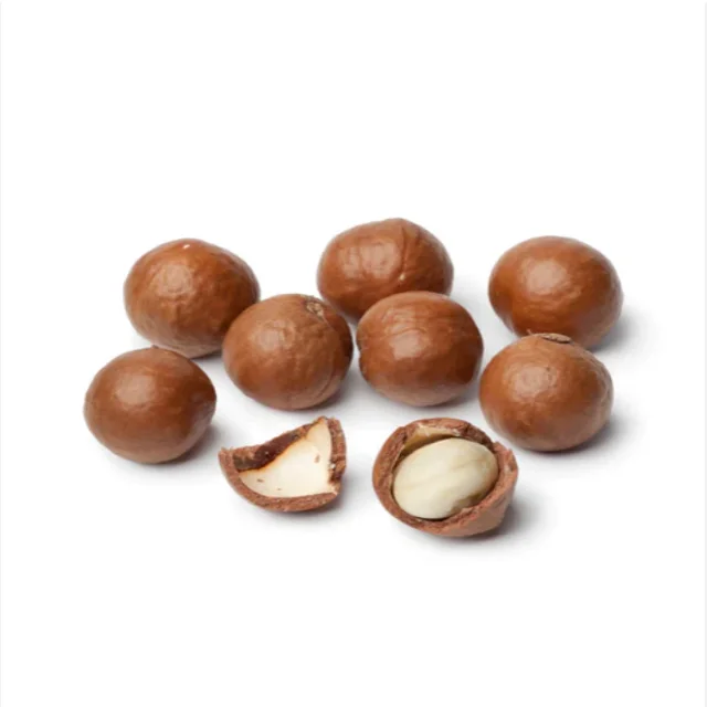 Орехи макадамия сырые соленые жареные орехи мака Здоровая пища в скорлупе