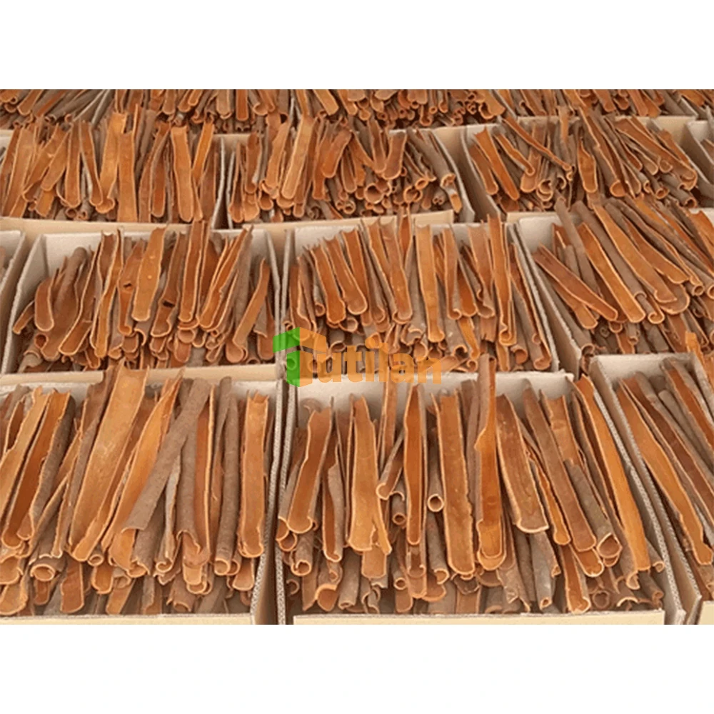 Wholesale Cinnamon Spices Stable Importer of Spices Quality Buyers of Cinnamon