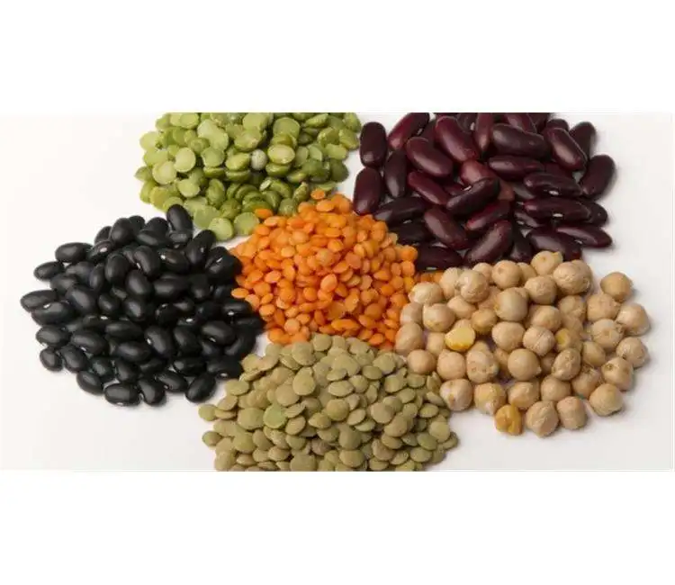 Hot Selling Price Organic Red Lentils / Split Red Lentils in Bulk