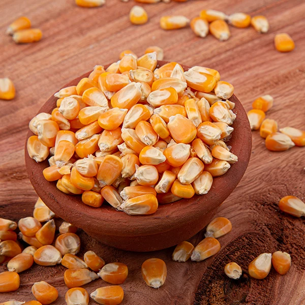 Direct Farm Price Dried Yellow Corn For Animal Feed / Wholesale yellow corn For Human And Animal Consumption