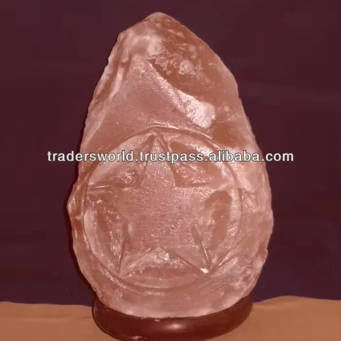 Himalayan Salt Lamps in Natural Shapes Home Decoration Bowl Animal Flower Nautical Styles Customizable Embossed Designs