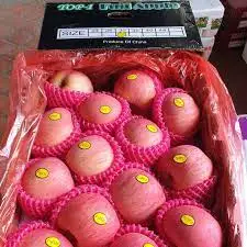 Quality  New Crop Natural Red Fuji Apple