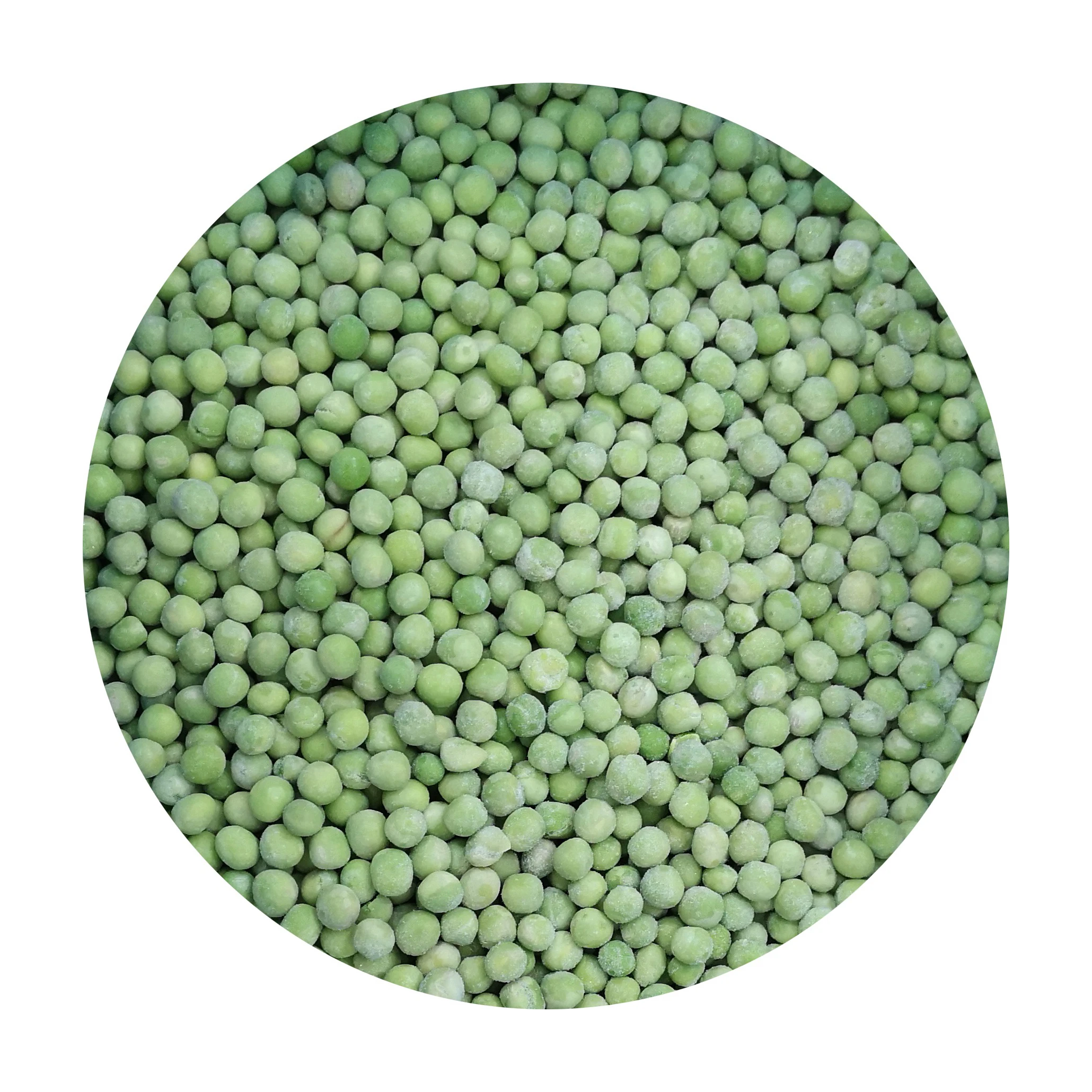 Non GMO Green Split Peas Green Pigeon Peas Split Green Tuar Dal Split Green Toor Dal