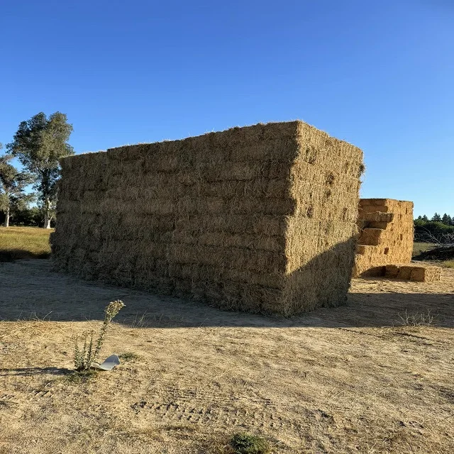 2024 New Stock Alfafa Hay Animal Feeding Stuff Alfalfa, hay/alfalfa hay pellets Timothy in Bales Best Super Top Quality