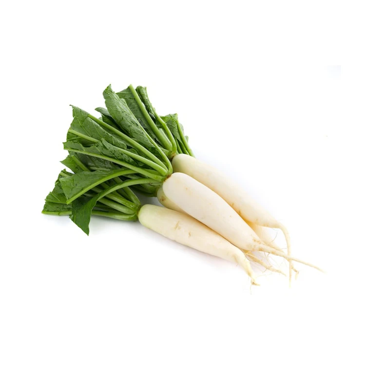 Fresh Radish Wholesale Price