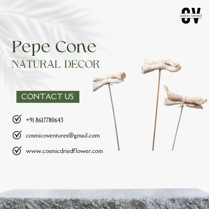 High Quality Wholesale Natural Pepe Cone for Potpourri, DIY, Events Decor & Other Dried Flower Decor