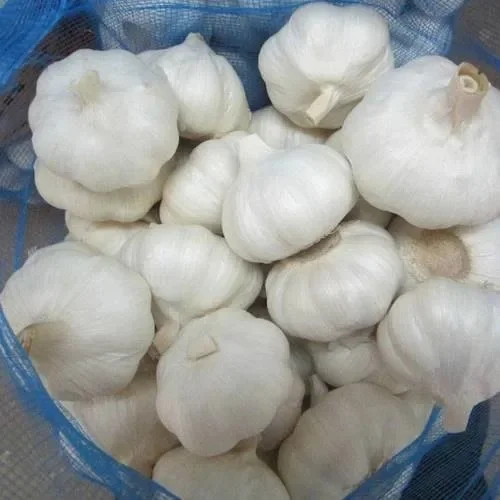 Hiigh Quality Healthy Fresh Garlic 100% Organic at Low Wholesale Price