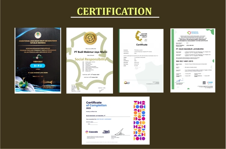 certification 3.jpg