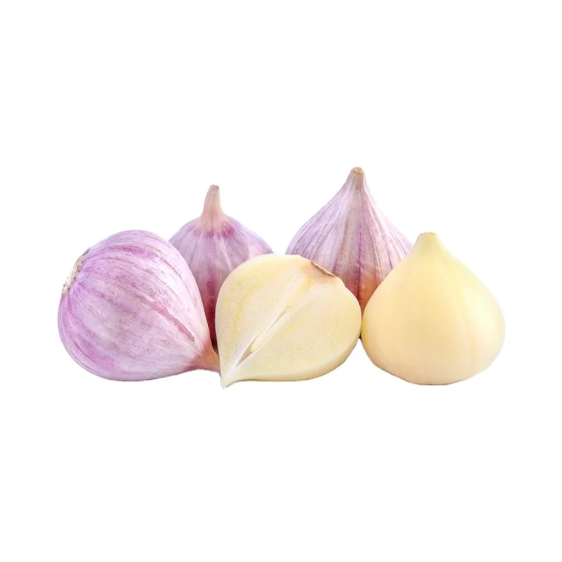 Wholesale garlic  Elephant Garlic export  in pouch packing