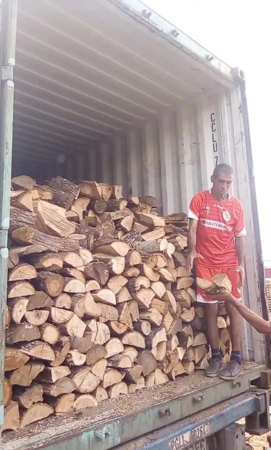 Dried firewood on pallets 1m3+ and 2m3+