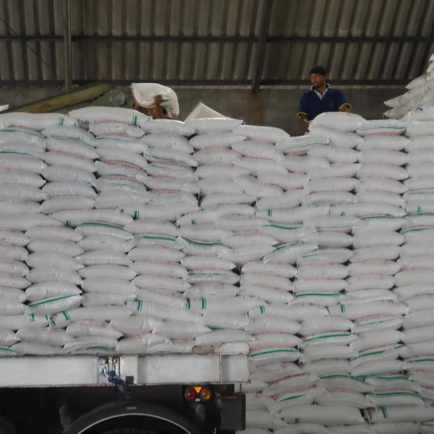 Bulk Supplier white Refined Icumsa 45 Sugar azucar icumsa 45 brazilian sugar icumsa 45