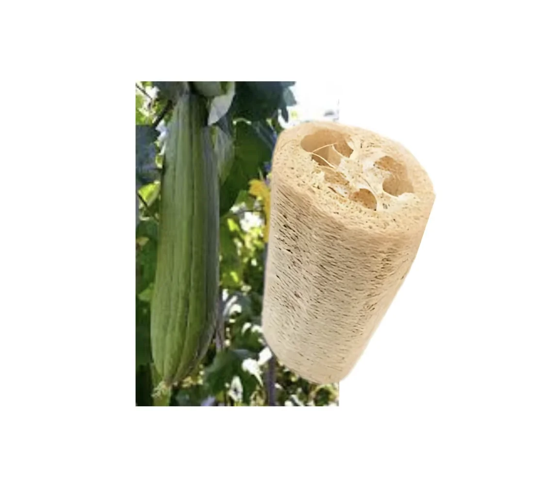 Luffa Sponge Body and Foot Scrub for Bath Brushes Sponges & Scrubbers