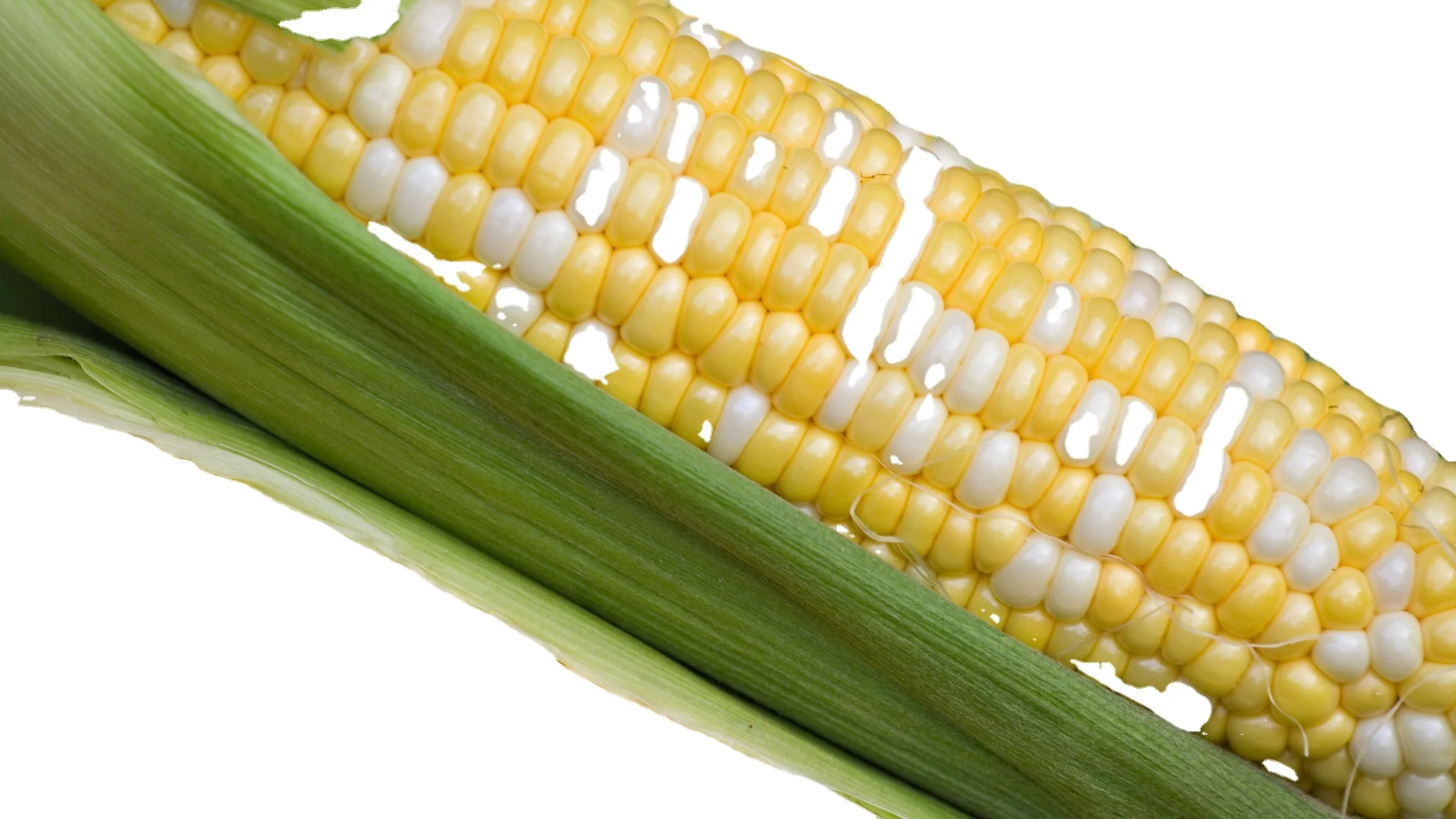 Горячий продукт! Предложение замороженная белая кукуруза с высоким качеством и Лучшая цена замороженные и свежие овощи