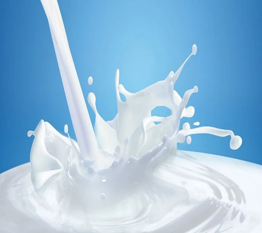 iscount Price Skimmed Milk Powder