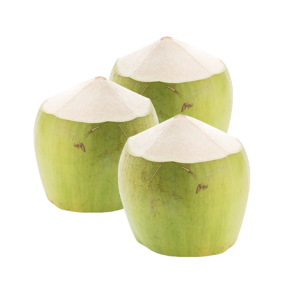 Wholesale Price Fresh Green Coconut for Drinking and Cooking Premium Quality from Viet Nam Manufacturer
