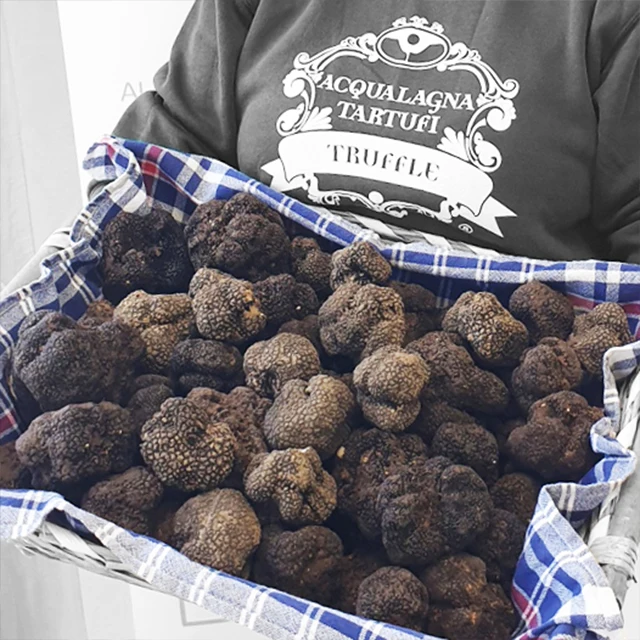 Italian Sauce with Black Summer Truffle 50 g Tuber Aestivum Dressing Sauce Italian Truffle New Product 2023