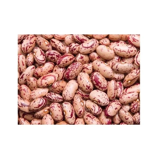 Высокое качество низкая оптовая цена сушеные бобы Pinto Beans/легкие зернистые для